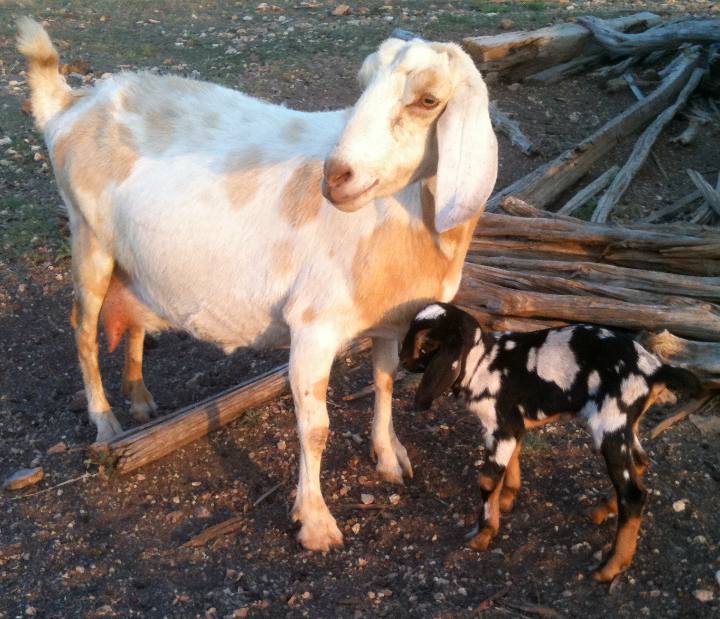 Mikki and Emily, 04/09/11